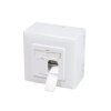 Logilink NP0039 | CAT.6 Netzwerkdose, Aufputz, 2 x RJ45, Reinweiß