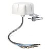 QuWireless QuShell 40G 5G/LTE GPS Mobilantenne Hauptansicht