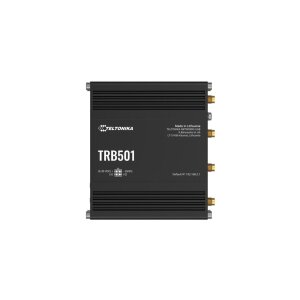 Frontansicht des robusten Teltonika TRB501 Industrial 5G...